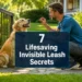 7 Lifesaving "Invisible Leash" Secrets: How to Teach Your Dog to Not Run Away