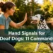 Hand Signals for Deaf Dogs: 11 Commands That Work Without Sound