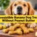 7 Irresistible Banana Dog Treats Without Peanut Butter Your Pup Will Beg For