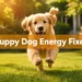 11 Powerful Puppy Dog Energy Fixes for When Your Pup Won't Settle