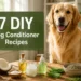 7 DIY Dog Conditioner Recipes for Softer, Shinier Fur Naturally