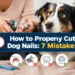 How to Properly Cut Dog Nails: 7 Mistakes That Make Dogs Panic (And Easy Fixes)