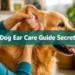 9 Dog Ear Care Guide Secrets Every Owner Should Know Before Problems Start