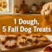 One Fall Dog Treat Dough: 5 Completely Different DIY Fall Dog Treats for Your Pup