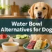7 "Water Bowl Alternatives" for Dogs Who Barely Drink Enough (Hydrating Treats for Dogs)