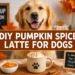 DIY Pumpkin Spice Latte for Dogs: 5-Minute Pup Cup They'll Go Crazy For