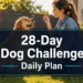 28-Day Dog Obedience Challenge: The Daily 10-Minute Plan That Changes Everything