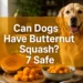 Can Dogs Have Butternut Squash? 7 Safe Ways to Serve It
