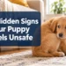 9 Hidden Signs Your Puppy Feels Unsafe (Most Owners Miss #6!)