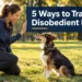 5 Ways to Train Your Disobedient Dog When Nothing Else Is Working