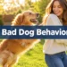 7 Bad Dog Behaviors You're Accidentally Rewarding - And How to Correct Bad Dog Behavior for Good
