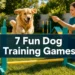7 Fun Dog Training Games That Secretly Build Better Behavior