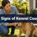 9 Signs of Kennel Cough Dog Owners Often Mistake for Something Else