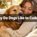 Why Do Dogs Like to Cuddle? The Sweet Reason Goes Deeper Than Affection