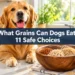 What Grains Can Dogs Eat? 11 Safe Choices + 5 to Avoid