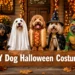 15 DIY Dog Halloween Costumes That Look Expensive (But Cost Almost Nothing)