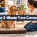 The 3-Minute "Place" Command: How to Teach Your Dog to Settle Anywhere