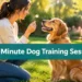 The 10-Minute Dog Training Session That Works Better Than an Hour of Practice