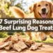 7 Surprising Reasons Beef Lung Dog Treats Are the Training Reward You're Overlooking