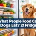 What People Food Can Dogs Eat? 21 Fridge Staples That Are Actually Dog-Safe