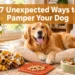 17 Unexpected Ways to Pamper Your Dog That Aren't Just Treats