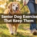 7 Senior Dog Exercises That Keep Them Moving Without Overdoing It