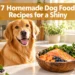 7 Homemade Dog Food Recipes for a Shiny Coat (The "Glow Bowl" Method)