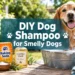 DIY Dog Shampoo for Smelly Dogs: The 3-Step "Fresh Fur" Trick That Lasts Longer
