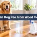 How to Clean Dog Pee Out of Wood Floors: 7 Steps That Actually Remove the Smell