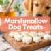 Marshmallow Dog Treats: The 3-Ingredient "Pupmallow" Recipe Dogs Go Crazy For