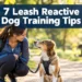 7 Leash Reactive Dog Training Tips That Work When "Just Distract Them" Doesn't