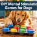 9 DIY Mental Stimulation Games for Dogs That Tire Them Out Without a Walk