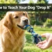 How to Teach Your Dog "Drop It" Without Chasing, Yelling, or Wrestling Over Toys