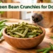 Green Bean Crunchies for Dogs: The 3-Ingredient Snack They'll Beg For
