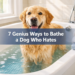 Bathing a Dog Who Hates Water: 7 Genius Ways to Skip the Bathroom Battle