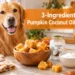 3-Ingredient Pumpkin Coconut Oil Yogurt Dog Treats for a Happy, Healthy Pup
