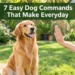 7 Easy Dog Commands That Make Everyday Life So Much Easier