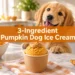 Pumpkin Dog Ice Cream: The 3-Ingredient Recipe Your Pup Will Go Crazy For