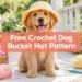 Free Crochet Dog Bucket Hat Pattern: The Cutest 1-Hour Pet DIY
